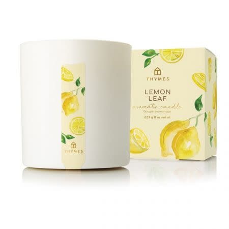 28772151_thymes-poured-candle